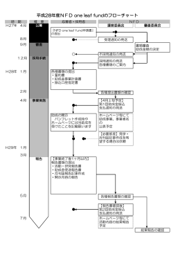 H28年度フローチャート（PDF）