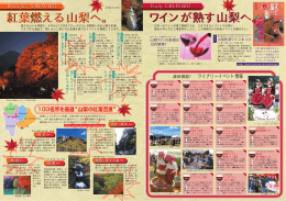 紅葉燃える山梨へ。 - 富士の国やまなし観光ネット