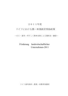2011 奨励政策ー補助金