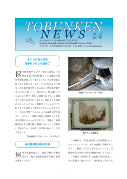no.40 - 東京文化財研究所