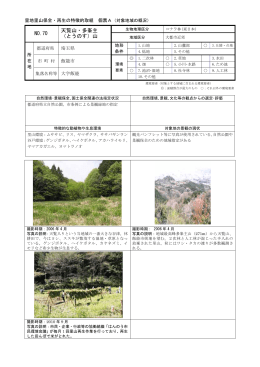 詳細資料 [PDF 105KB]