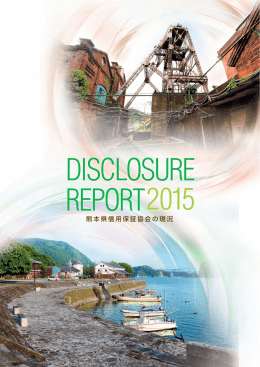 Disclosure Report 2015