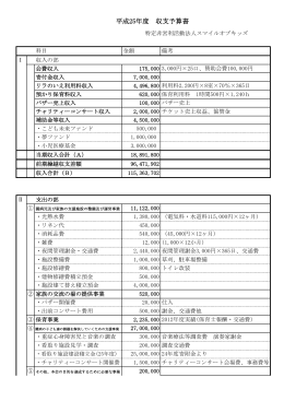 平成25年度 収支予算書