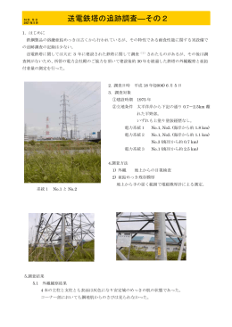 送電鉄塔の追跡調査-その2(PDF:73KB)