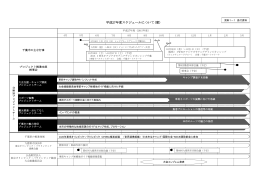 平成27年度スケジュールについて(案）