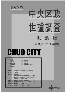 概 要 版