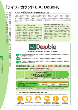 「ライフアカウント L.A. Double」