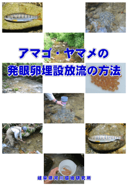 PDF - 岐阜県水産研究所
