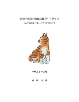 神奈川県猫の適正飼養ガイドラインを作成しました
