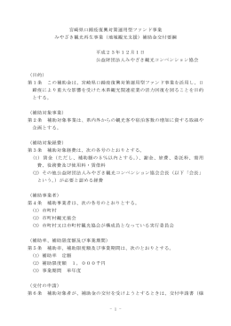 補助金交付要綱（PDF：150KB）