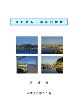 「目で見る三浦市の財政（平成20年度版）」（PDF：237KB）