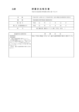 公表 措 置 状 況 報 告 書