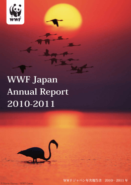 WWFジャパン 2010-2011年6月度 事業および決算 報告（簡易版）