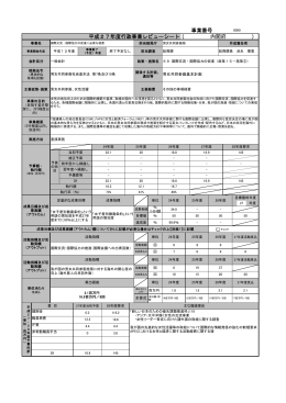 （ ） 事業番号 平成27年度行政事業レビューシート 内閣府
