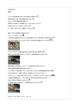 2013年1月～3月 - NPO法人あしずりダディー牧場命の会