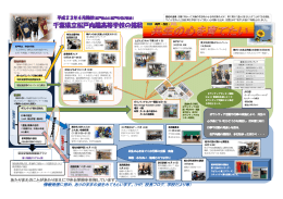 本校の活動内容 - 千葉県学校教育情報ネットワーク