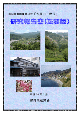 研究報告書概要版（PDF：2117KB）