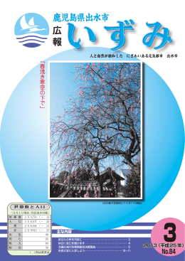 （2013年3月1日） (PDF/8.19MB)