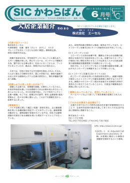 2011.05.31 入居版85号