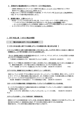 「AVA（アヴァ）」の商品概要など［PDF］