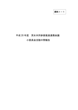 平成20年度 男女共同参画推進連携会議小委員会活動中間報告 [PDF