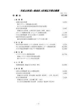 平成20年度6月補正予算の概要（PDF 10KB）