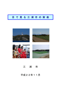 「目で見る三浦市の財政（平成22年度版）」（PDF：254KB）