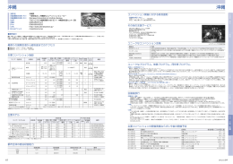 沖縄4市の公的支援と施設ガイド (PDF/691KB)