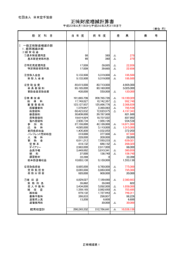 平成23年度 正味財産増減計算書 (PDFファイル)