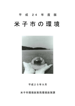 平成24年度版