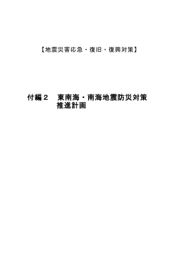 付編2 東南海・南海地震防災対策推進計画（PDF：690KB）