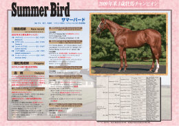 2009年米3歳牡馬チャンピオン