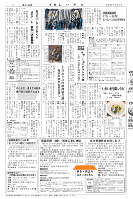 pdf "パンフレット"