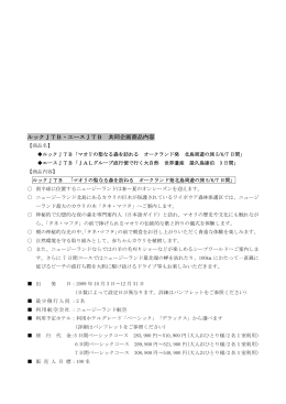共同企画商品の内容［PDF］