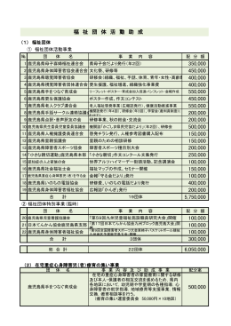 ② 福祉団体特別事業（臨時） （2） 在宅重症心身障害児（者）療育の集い