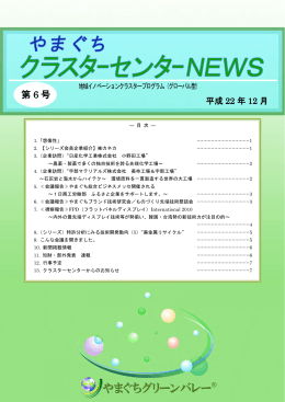 第 6 号