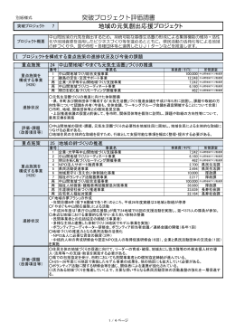 地域の元気創出応援プロジェクト 突破プロジェクト評価調書