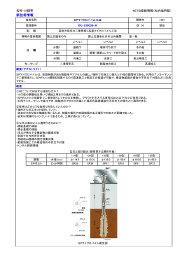 NETIS （抜粋A4&times;6枚）