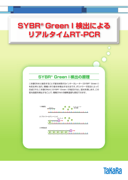 SYBR® Green I検出によるリアルタイム RT-PCR