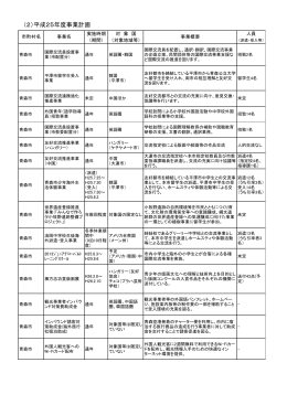 （2）平成25年度事業計画