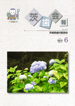 555 - 茨城県歯科医師会