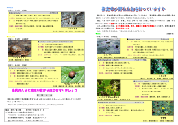 パンフレット（PDF：434KB）