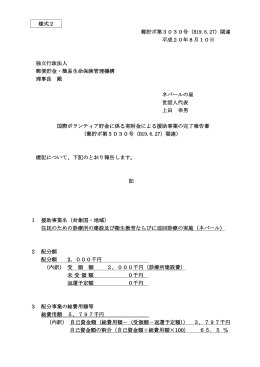 19年度 完了報告書(PDF: 252KB)