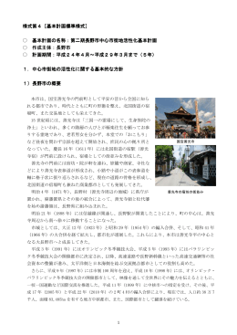 中心市街地の活性化に関する基本的な方針 [PDFファイル