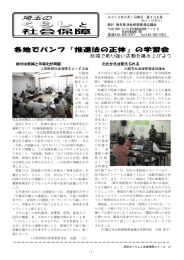 埼玉のくらしと社会保障 206号 2013年6月