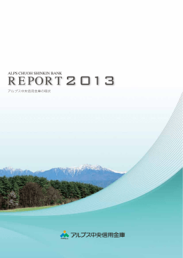 ディスクロージャー誌「REPORT2013」