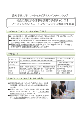 &yuml;&thorn;M icrosoft W ord - SB _ intern
