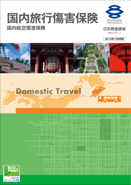 国内旅行傷害保険