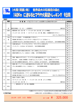 2013 03 31日 発限 お一人様 ￥ 325.000