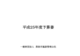 平成25年度予算書